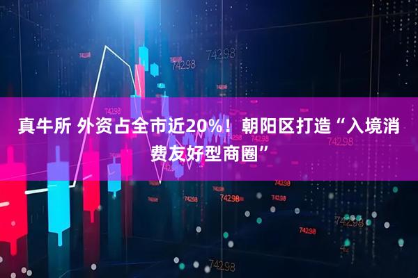 真牛所 外资占全市近20%！朝阳区打造“入境消费友好型商圈”