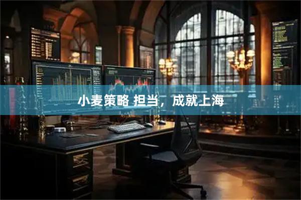 小麦策略 担当，成就上海